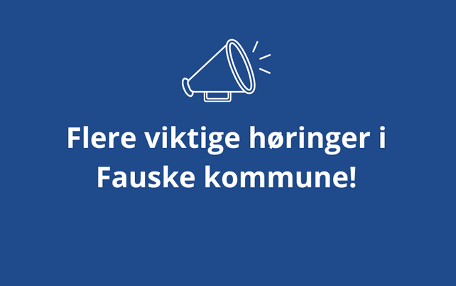 Politiske høringer FNF
