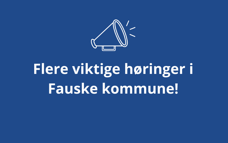 Politiske høringer FNF