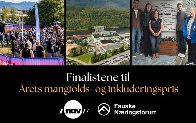 Finalister mangfolds- og inkluderingsprisen 2025